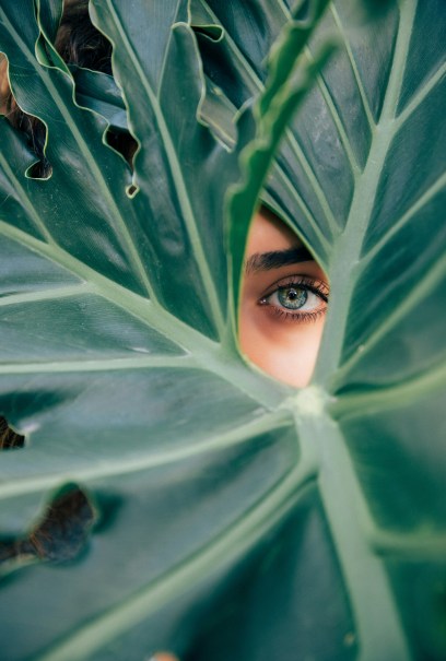 A green eye peers through a large, textured green leaf with natural veins.