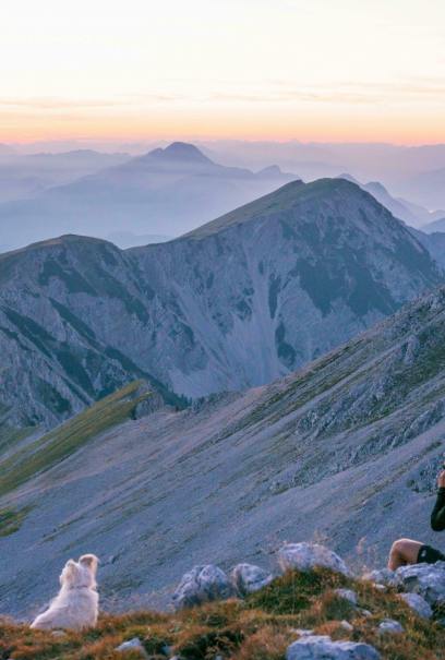 A person with a camera and a white dog sit on a rocky mountainside, overlooking vast mountain peaks at sunrise.