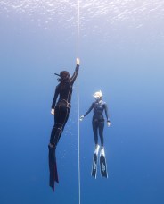 Two divers are underwater in clear blue water. One holds a guide rope, and both wear wetsuits, masks, and fins.